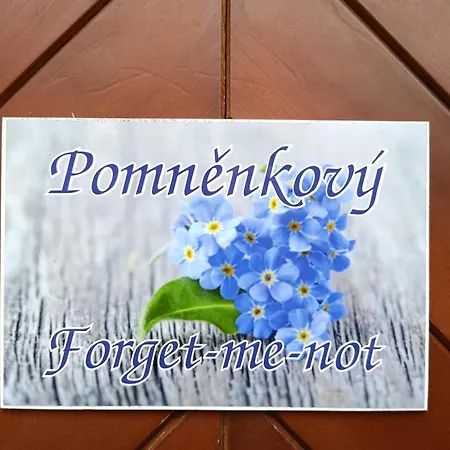 게스트하우스 U Zamku Mělník