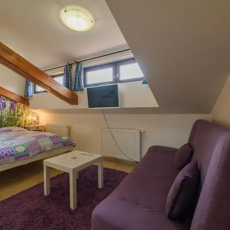 Pensión U Zámku 4*