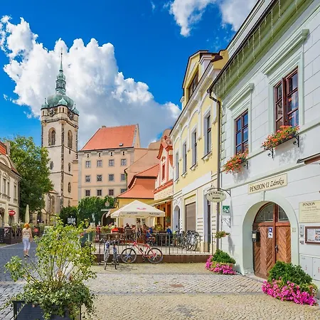 U Zámku Penzion 4*