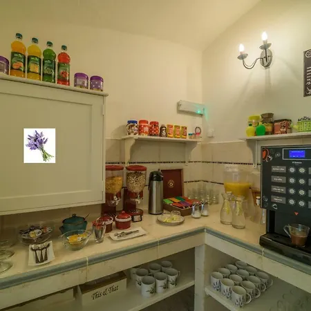 U Zamku